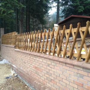 Снимка  от Георги Чолаков