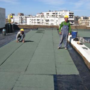 Снимка  от Явор Иванов