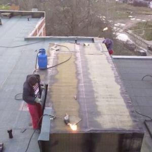 Снимка  от Явор Иванов