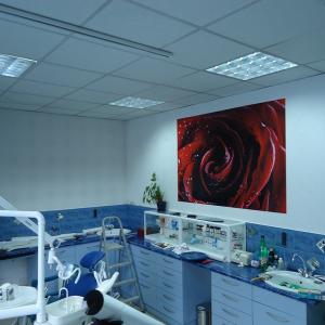 Снимка  от Николай Генов