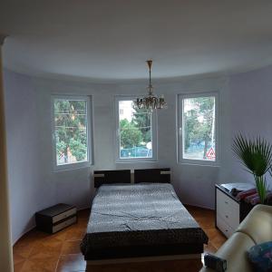 Снимка  от Николай Генов