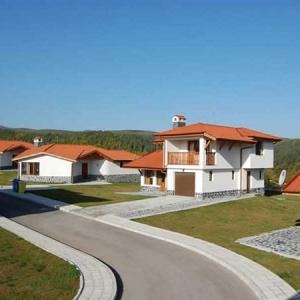 Снимка  от Иван Иванов