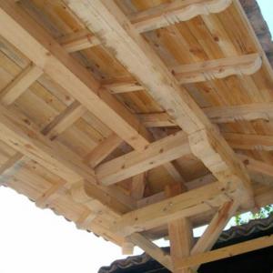 Снимка  от Румен Стефанов