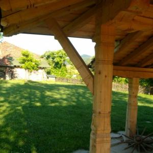 Снимка  от Румен Стефанов