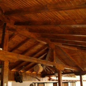 Снимка  от Румен Стефанов