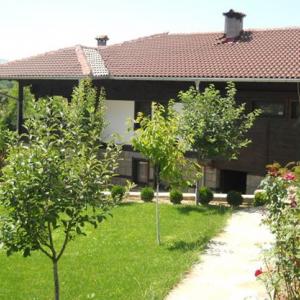 Снимка  от Румен Стефанов