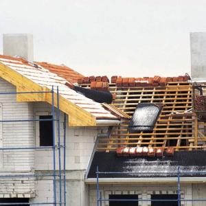 Снимка  от Александър Петров