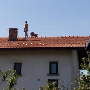 Ремонт на покрив София