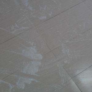 Снимка  от Илиян Шушоров