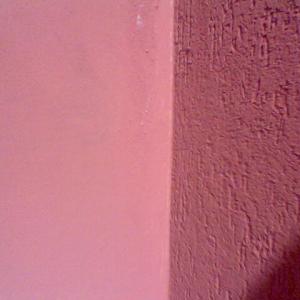 Снимка  от Цоню Стоянов