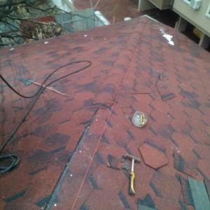 Снимка  от Александър Чернев