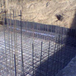 Снимка  от Цоню Стоянов