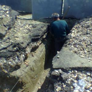 Снимка  от Цоню Стоянов