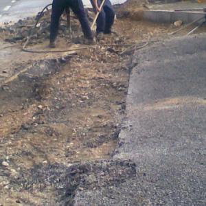 Снимка  от Асен Асенов