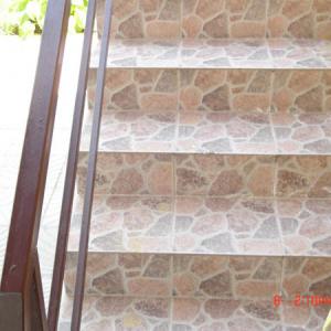 Снимка  от Румен Мартинов