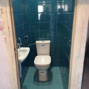 Цялостен ремонт на тоалетна