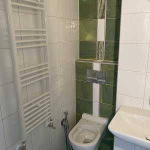Монтирана лира интимен душ и тоалетна