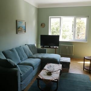 Боядисване