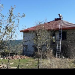 Покрив вила