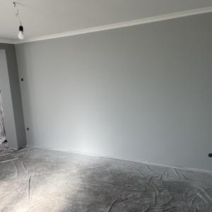 image_50368513-scaled