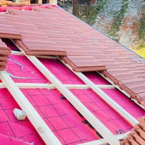 FB_IMG_1680958337872