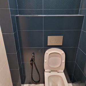 Тоалетна с рязане на плочи под 45 градуса