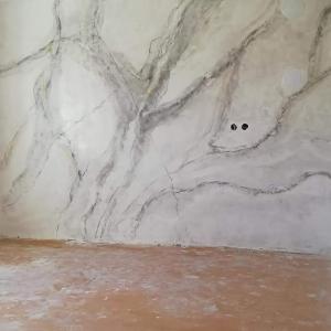 FB_IMG_1691840025387