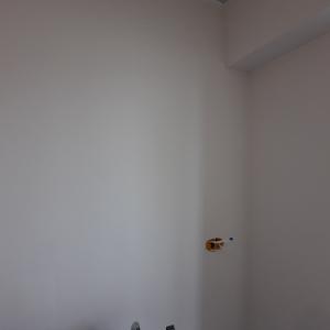 Боядисване