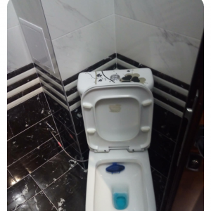 Screenshot_20241116-173731