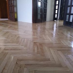 IMG_20241212_154240312