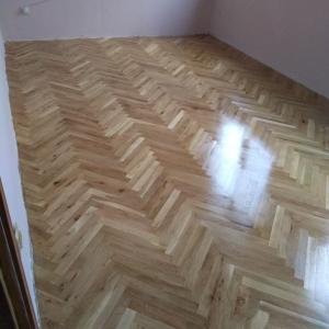 IMG_20241212_154533447