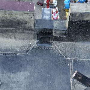 IMG_20241216_155944_HDR