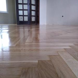 IMG_20241212_154334367