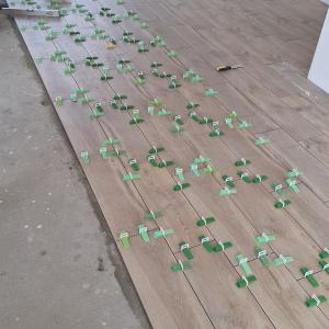 IMG-35200fb11ff985e0b7a1e6964c5094bc-V