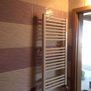 46174731_730613660647112_7036294863469412352_n