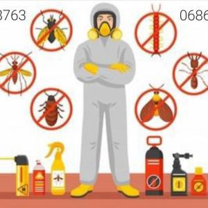 Screenshot_20250221_193826_Gallery