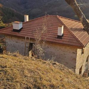 FB_IMG_1733090093677