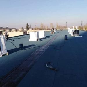 FB_IMG_1743719729473