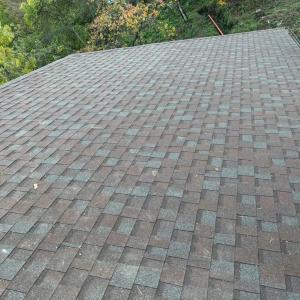 FB_IMG_1743719737495