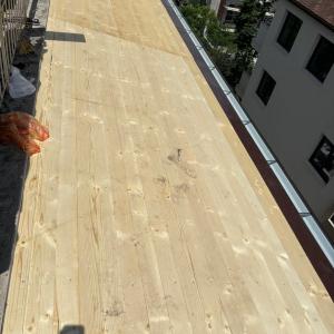 FB_IMG_1743719708371