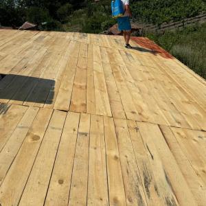 FB_IMG_1743719652107