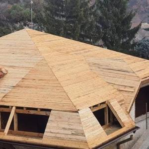 FB_IMG_1742212708115