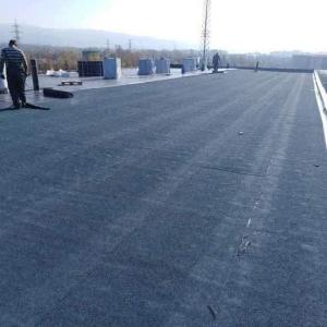 FB_IMG_1743719727350