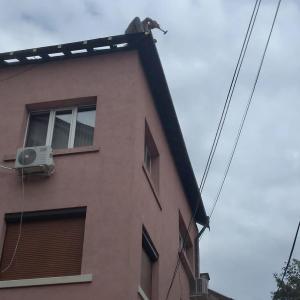 FB_IMG_1743719760753