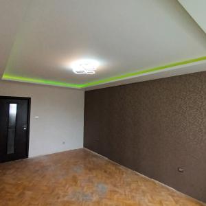 Окачени тавани, мазилка и боя