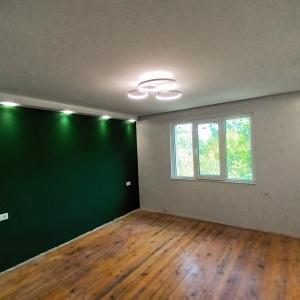 Окачени тавани, мазилка и боя