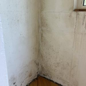 тераса преди