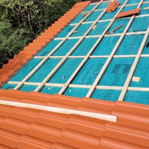 Screenshot_20240826_225056_Gallery