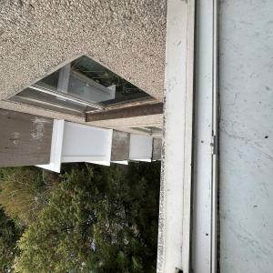 Messenger_creation_BFA2A977-02D9-4AEE-90C3-67FA080081C9