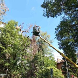 IMG-cfacda3d9c047e5e69470abccd463c17-V